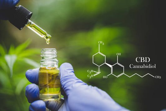The CBD Dopamine Connection