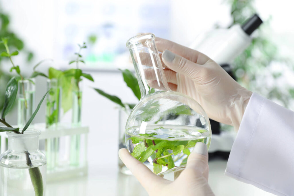 The Science Behind CBD: How It Works in the Body